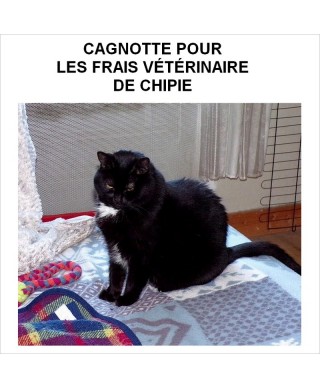 Cagnotte frais vétérinaire Chipie