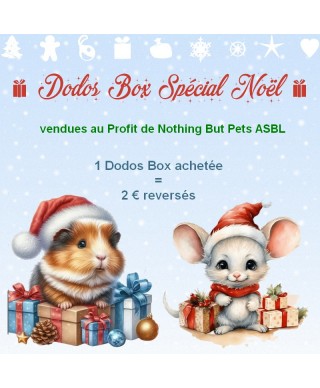Dodos Box Spécial Noël