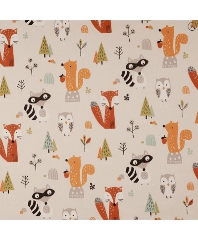 Animaux de la forêt